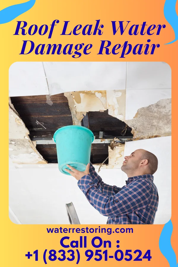 Roof Leak Water Damage Repair in Marion, ND