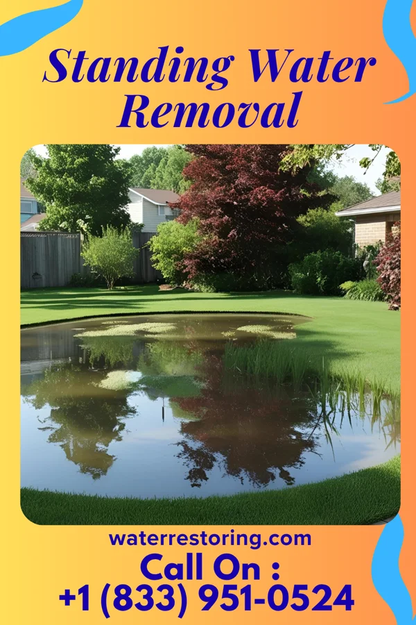 Standing Water Removal in Marion, ND